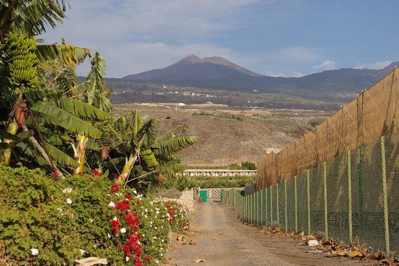 Hotel Rural El Navio - Adults Only Алькала Екстер'єр фото